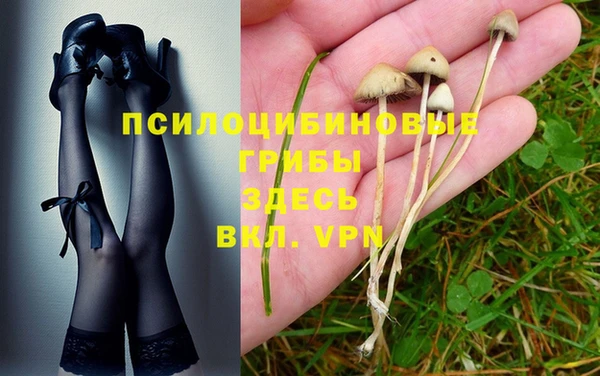 кокс Алзамай