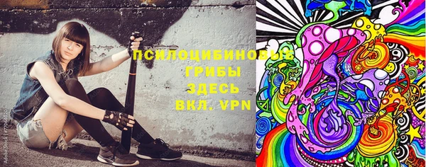 хмурый Протвино
