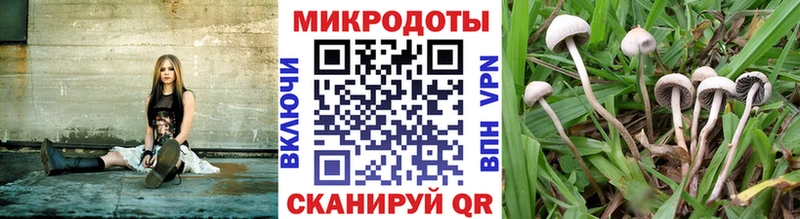 площадка состав  mega tor  Учалы  где можно купить наркотик  Псилоцибиновые грибы Psilocybe 